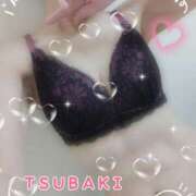 ヒメ日記 2026/01/16 10:15 投稿 ゆき TSUBAKI(ツバキ)