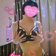 ヒメ日記 2026/01/30 11:00 投稿 ゆき TSUBAKI(ツバキ)