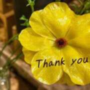 ヒメ日記 2026/01/31 22:01 投稿 ゆき TSUBAKI(ツバキ)