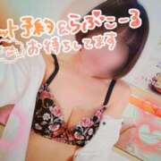 ヒメ日記 2026/02/16 10:00 投稿 ゆき TSUBAKI(ツバキ)