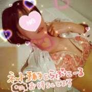 ヒメ日記 2026/02/24 14:30 投稿 ゆき TSUBAKI(ツバキ)