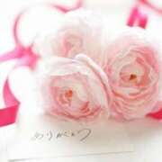 ヒメ日記 2026/02/27 23:00 投稿 ゆき TSUBAKI(ツバキ)