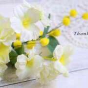 ヒメ日記 2026/03/09 23:16 投稿 ゆき TSUBAKI(ツバキ)