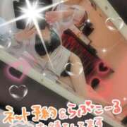 ヒメ日記 2026/03/18 11:30 投稿 ゆき TSUBAKI(ツバキ)