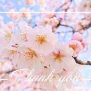 ヒメ日記 2026/04/07 23:46 投稿 ゆき TSUBAKI(ツバキ)