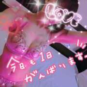 ヒメ日記 2026/04/14 11:01 投稿 ゆき TSUBAKI(ツバキ)