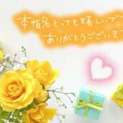 ヒメ日記 2026/04/15 00:03 投稿 ゆき TSUBAKI(ツバキ)