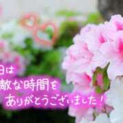 ヒメ日記 2026/04/22 23:46 投稿 ゆき TSUBAKI(ツバキ)