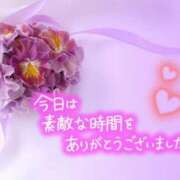 ヒメ日記 2026/05/02 23:46 投稿 ゆき TSUBAKI(ツバキ)