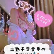 ヒメ日記 2026/05/15 11:01 投稿 ゆき TSUBAKI(ツバキ)