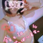 ヒメ日記 2026/06/05 12:07 投稿 ゆき TSUBAKI(ツバキ)