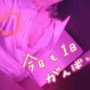 ヒメ日記 2026/07/17 10:54 投稿 ゆき TSUBAKI(ツバキ)