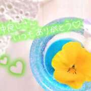 ヒメ日記 2026/08/07 23:47 投稿 ゆき TSUBAKI(ツバキ)