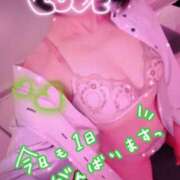 ヒメ日記 2026/09/15 11:02 投稿 ゆき TSUBAKI(ツバキ)