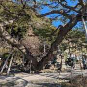 川原(元八木) 先日はありがとうございました🙇 鶯谷デッドボール