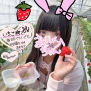 まりか まりかのこともたべにきてね 大宮baton