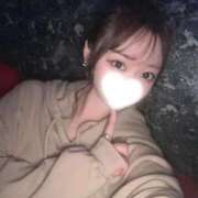 ヒメ日記 2026/01/31 00:28 投稿 せいか 1/11体験入店!!! Office Love　町田店（Loveグループ）