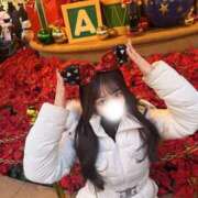 ヒメ日記 2026/02/03 03:08 投稿 せいか 1/11体験入店!!! Office Love　町田店（Loveグループ）