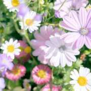 ヒメ日記 2026/01/16 18:36 投稿 白川　ゆりえ 人妻の秘密