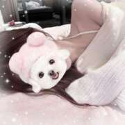 ヒメ日記 2026/03/10 10:14 投稿 まゆう【細身Gの清楚素人！】 STELLA NEXT－ステラネクスト－