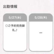 ヒメ日記 2026/05/27 23:51 投稿 まゆう【細身Gの清楚素人！】 STELLA NEXT－ステラネクスト－