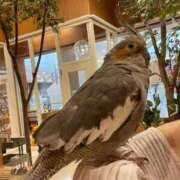 ヒメ日記 2026/04/24 15:44 投稿 ありあ 熟女の風俗最終章 仙台店