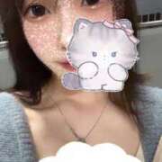 ヒメ日記 2026/01/26 11:00 投稿 ひなこ 無我（むが）