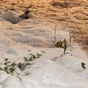 ひなこ こんばんは！⛄️ 無我（むが）