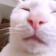 ヒメ日記 2026/01/29 19:52 投稿 莉桜/りお　centu STYLISH BACH