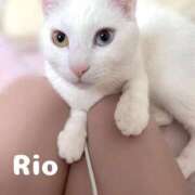 ヒメ日記 2026/02/11 07:22 投稿 莉桜/りお　centu STYLISH BACH