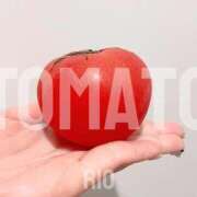 ヒメ日記 2026/02/25 08:22 投稿 莉桜/りお　centu STYLISH BACH