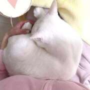 莉桜/りお　centu まったり🍵 STYLISH BACH