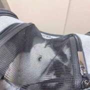 ヒメ日記 2026/03/13 09:57 投稿 莉桜/りお　centu STYLISH BACH