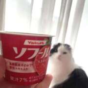 ヒメ日記 2026/04/06 08:42 投稿 莉桜/りお　centu STYLISH BACH