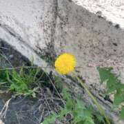 ヒメ日記 2026/04/13 18:02 投稿 莉桜/りお　centu STYLISH BACH