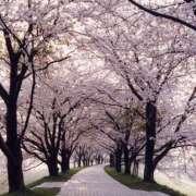 ヒメ日記 2026/03/29 12:12 投稿 ののか モアグループ神栖人妻花壇