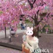 ヒメ日記 2026/05/02 12:25 投稿 ののか モアグループ神栖人妻花壇