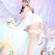 めい おしえて…♡ ニューグランド