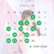 ヒメ日記 2026/03/21 10:57 投稿 めい ニューグランド