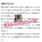 ヒメ日記 2026/04/09 20:03 投稿 めい ニューグランド