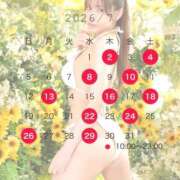 ヒメ日記 2026/06/25 15:05 投稿 めい ニューグランド