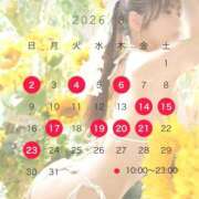 ヒメ日記 2026/07/23 16:23 投稿 めい ニューグランド