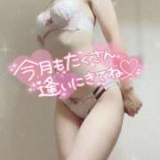 ヒメ日記 2026/04/01 08:20 投稿 りお セレブクエスト-omiya-