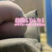 ヒメ日記 2026/03/29 11:48 投稿 春陽そら 五十路マダム金沢店