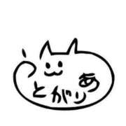 ヒメ日記 2026/01/15 23:22 投稿 ゆり 錦糸町ちゃんこ