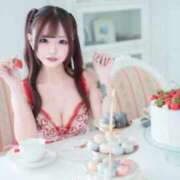 ヒメ日記 2026/02/04 19:05 投稿 ひめちゃん 妖精（ようせい）