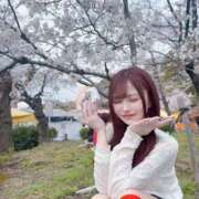 ヒメ日記 2026/02/14 15:10 投稿 ひめちゃん 妖精（ようせい）