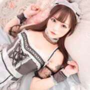 ヒメ日記 2026/04/01 20:25 投稿 ひめちゃん 妖精（ようせい）