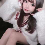 ヒメ日記 2026/04/14 08:55 投稿 ひめちゃん 妖精（ようせい）