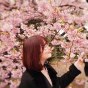 ヒメ日記 2026/03/26 11:02 投稿 みみ ちゃんこ幕張店